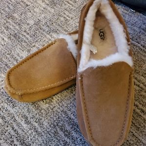 Ugg ascot slippers